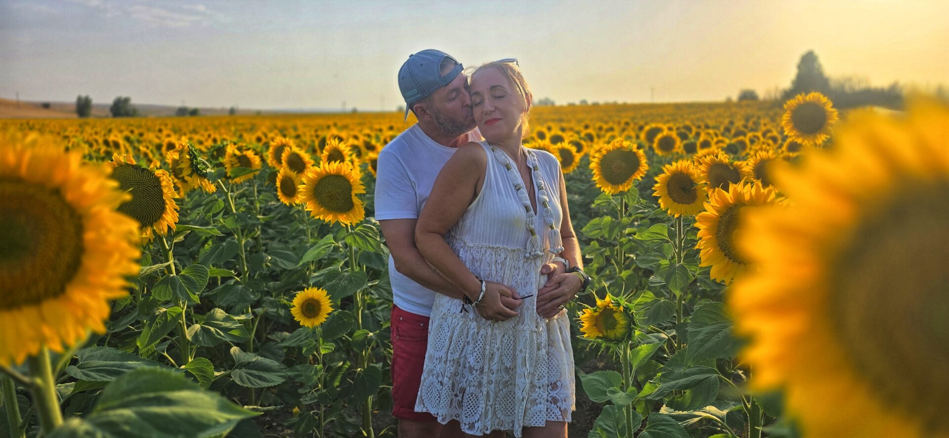 Campos de Girasoles. Vívelo Con Nosotros
