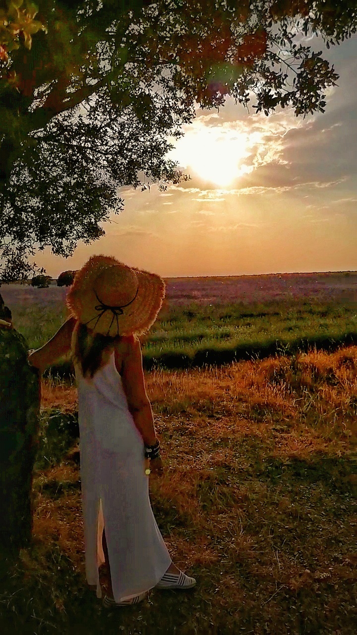 Ana de Vívelo Con Nosotros. Apoyada en un arbol comtemplando el atardecer en los Campos de Lavanda de Briguega
