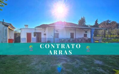 Finca Rustica. Refugio de luz y olivos: Tu oasis privado en Ronda