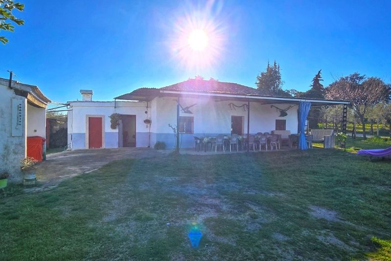 Finca Rustica. Refugio de luz y olivos: Tu oasis privado en Ronda